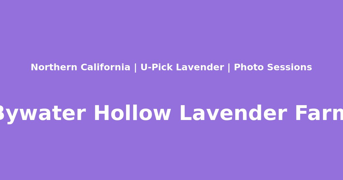 Bywater Hollow Lavender Farm - Photo 1